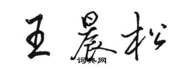 駱恆光王晨松行書個性簽名怎么寫