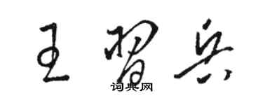 駱恆光王習兵草書個性簽名怎么寫