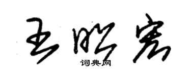 朱錫榮王昭宏草書個性簽名怎么寫