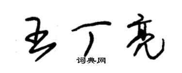 朱錫榮王丁亮草書個性簽名怎么寫