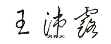 駱恆光王沛露草書個性簽名怎么寫