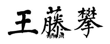翁闓運王藤攀楷書個性簽名怎么寫