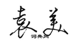 駱恆光袁美行書個性簽名怎么寫