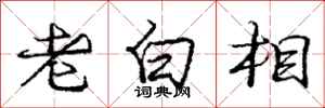 龐中華老白相行書怎么寫