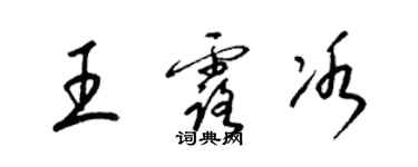 梁錦英王露冰草書個性簽名怎么寫