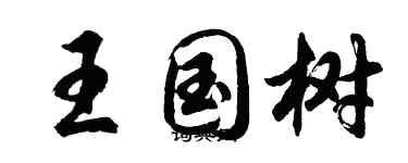 胡問遂王國樹行書個性簽名怎么寫