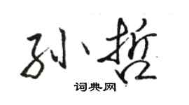 駱恆光孫哲行書個性簽名怎么寫