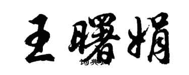 胡問遂王曙娟行書個性簽名怎么寫