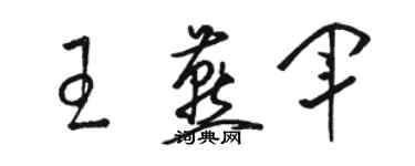 駱恆光王燕軍草書個性簽名怎么寫
