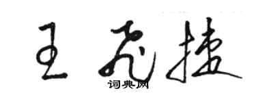 駱恆光王飛捷草書個性簽名怎么寫