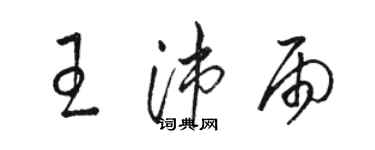 駱恆光王沛雨草書個性簽名怎么寫