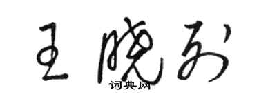 駱恆光王曉列草書個性簽名怎么寫