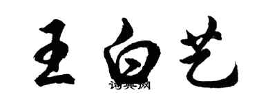 胡問遂王白藝行書個性簽名怎么寫