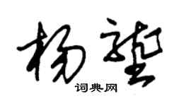 朱錫榮楊壟草書個性簽名怎么寫