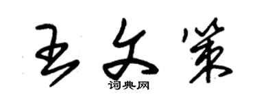 朱錫榮王文策草書個性簽名怎么寫