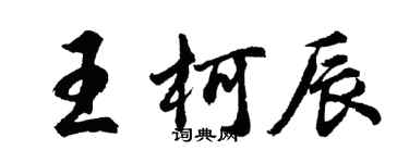 胡問遂王柯辰行書個性簽名怎么寫