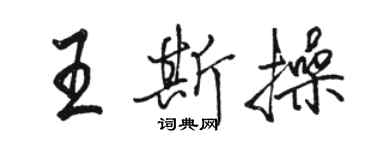 駱恆光王斯操行書個性簽名怎么寫