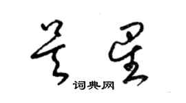 梁錦英吳星草書個性簽名怎么寫