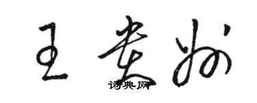 駱恆光王貴州草書個性簽名怎么寫