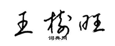梁錦英王樹旺草書個性簽名怎么寫