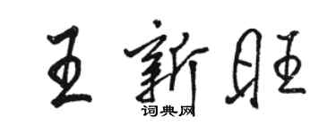 駱恆光王新旺行書個性簽名怎么寫