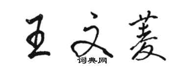 駱恆光王文菱行書個性簽名怎么寫