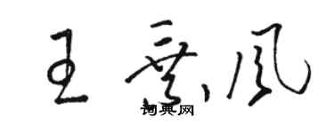 駱恆光王乘風草書個性簽名怎么寫