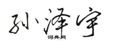 駱恆光孫澤宇行書個性簽名怎么寫