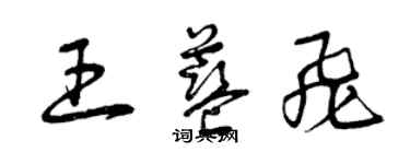 曾慶福王藍飛草書個性簽名怎么寫