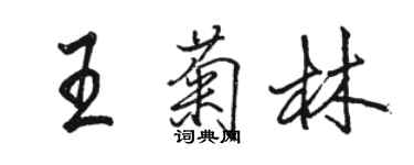 駱恆光王菊林行書個性簽名怎么寫