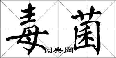 翁闓運毒菌楷書怎么寫