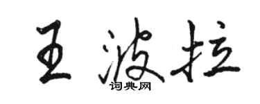 駱恆光王波拉行書個性簽名怎么寫