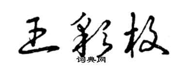 曾慶福王彩枚草書個性簽名怎么寫