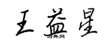 王正良王益星行書個性簽名怎么寫