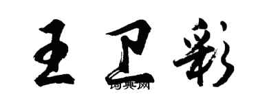 胡問遂王衛彩行書個性簽名怎么寫