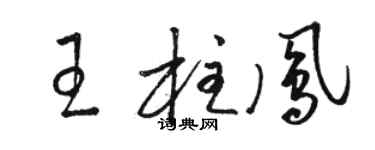 駱恆光王柱鳳草書個性簽名怎么寫