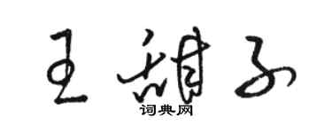 駱恆光王甜子草書個性簽名怎么寫