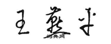 駱恆光王燕平草書個性簽名怎么寫