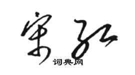 駱恆光宋紅草書個性簽名怎么寫