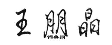 駱恆光王朋晶行書個性簽名怎么寫