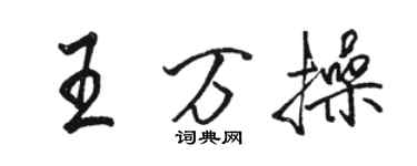 駱恆光王萬操行書個性簽名怎么寫