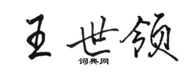 駱恆光王世領行書個性簽名怎么寫