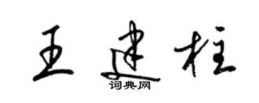 梁錦英王建柱草書個性簽名怎么寫