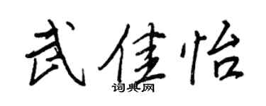 王正良武佳怡行書個性簽名怎么寫