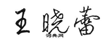 駱恆光王曉蕾行書個性簽名怎么寫