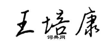 王正良王培康行書個性簽名怎么寫