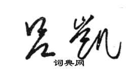 駱恆光呂凱草書個性簽名怎么寫