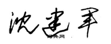 朱錫榮沈建軍草書個性簽名怎么寫