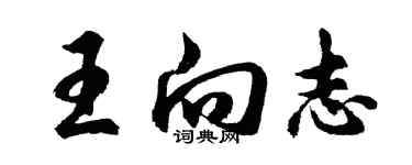 胡問遂王向志行書個性簽名怎么寫