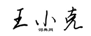 王正良王小克行書個性簽名怎么寫